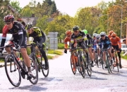 米兰真人-塔斯马尼亚联战术多变，力争战胜强敌