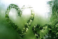 米兰捕鱼-帕尔梅拉斯防线稳固，力拼塔斯马尼亚联全力拿分