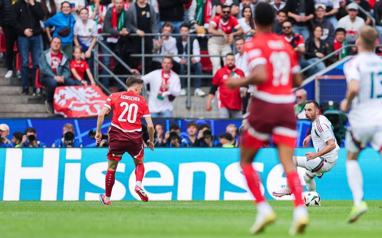 惊心动魄!欧洲国家杯赛事选手实力竞拼 惊心动魄!欧洲国家杯赛事选手实力竞拼